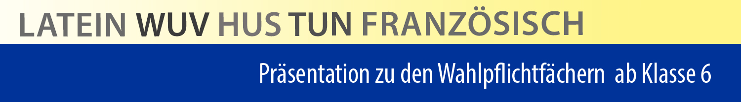 Information Wahlpflichtfach 6